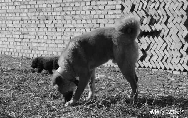 20221105120927_20678 20221105120927_20678