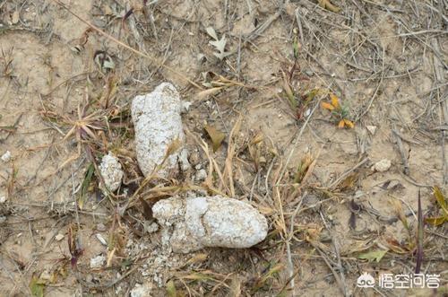 20221105130944_52282