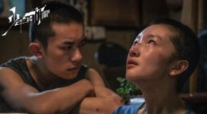 狗十三票房(狗十三票房)-警犬训练器材厂家 _警犬训练用品_工作犬训练用品-南京开久警犬装备