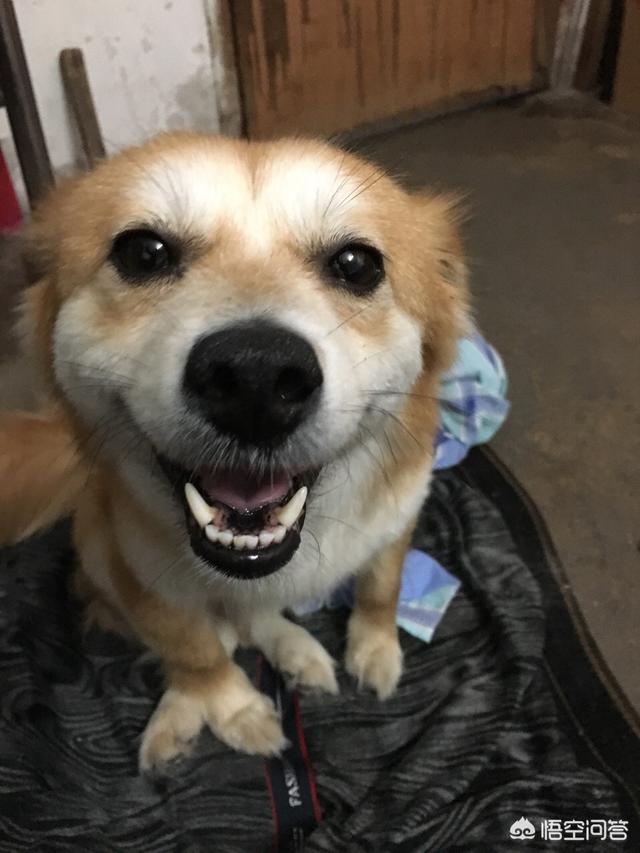 20221105133421_73570 20221105133421_73570