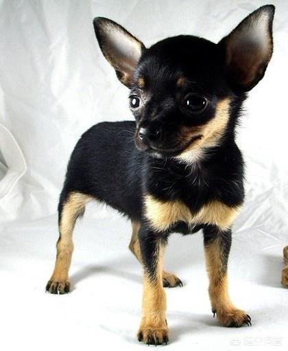 20221105133643_92017