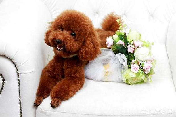 20221105140917_77334 20221105140917_77334