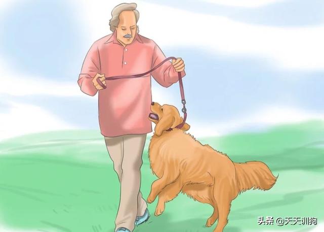 狗狗射出来的怎么是红的？狗狗怎么才能看出来要生了 - 警犬训练器材厂家 _警犬训练用品_工作犬训练用品-南京开久警犬装备-警犬训练器材厂家 _警犬训练用品_工作犬训练用品-南京开久警犬装备