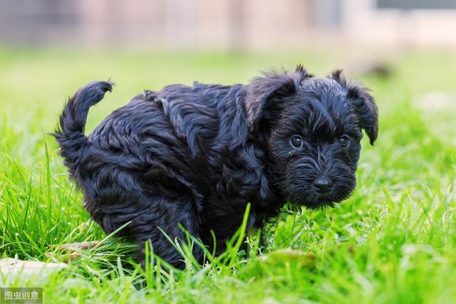 20221105144413_82241