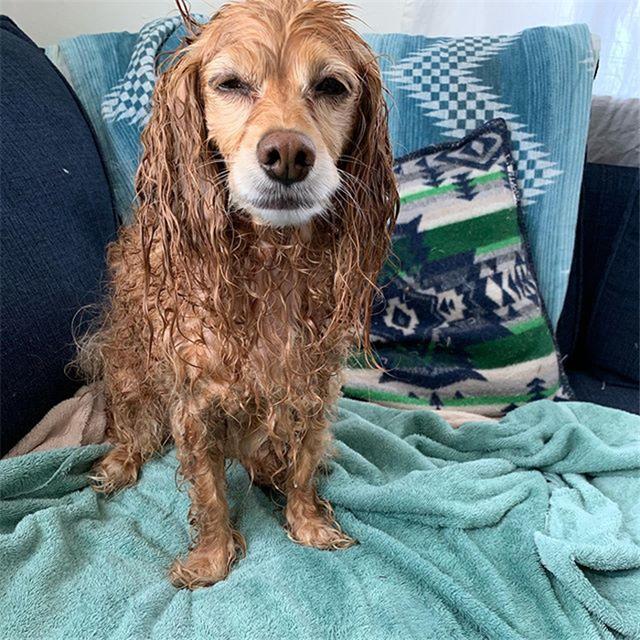 20221105150346_38710