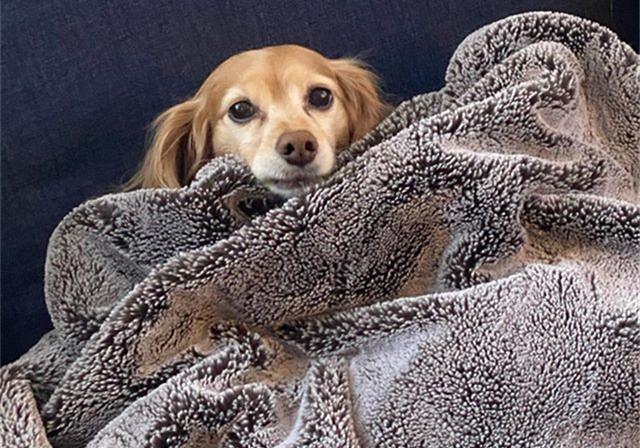 20221105150346_65286