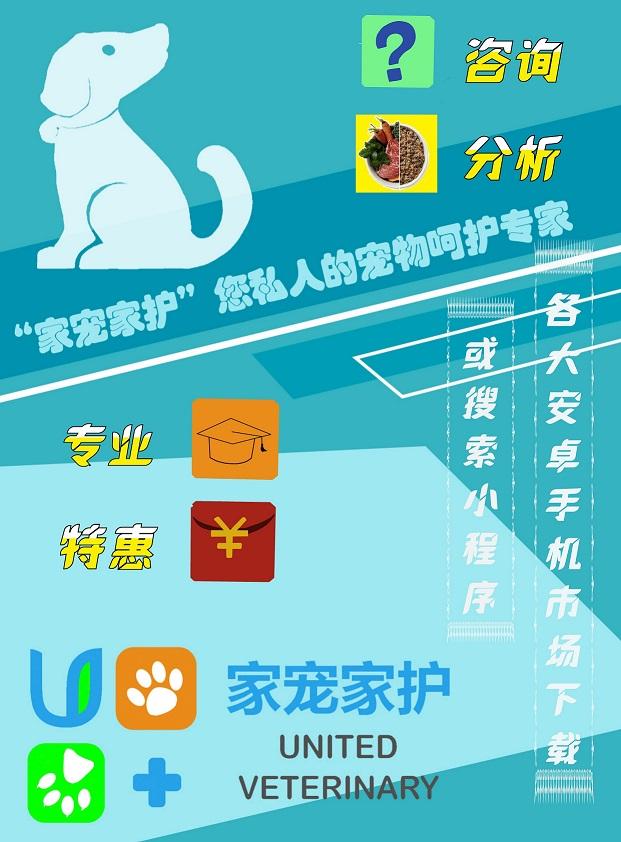 长不大的小黄狗是什么品种？大耳朵长不大的狗是什么品种 *** - 警犬训练器材厂家 _警犬训练用品_工作犬训练用品-南京开久警犬装备-警犬训练器材厂家 _警犬训练用品_工作犬训练用品-南京开久警犬装备
