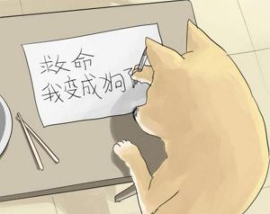 我变成了一条狗(我变成了一条狗作文500字)-警犬训练器材厂家 _警犬训练用品_工作犬训练用品-南京开久警犬装备