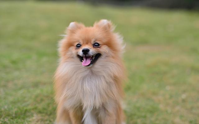 20221105154855_65217