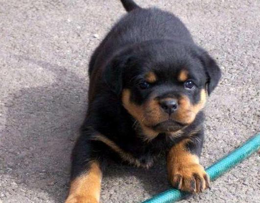 20221105164705_22423