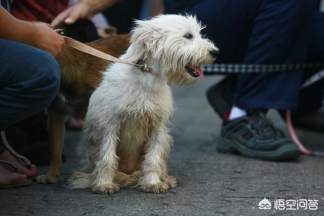 20221105165343_43163 20221105165343_43163