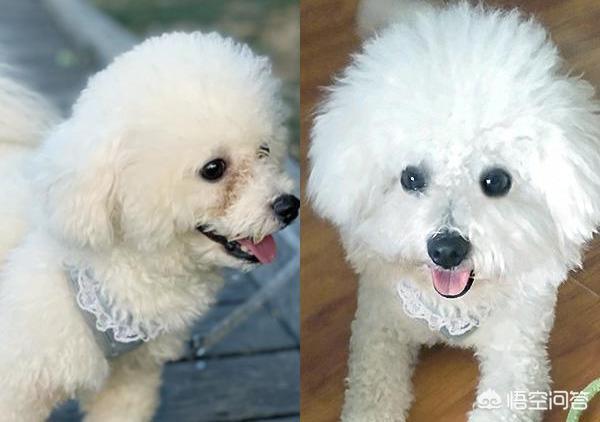 20221105165344_33980 20221105165344_33980