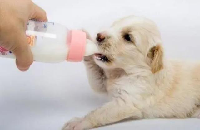 20221105165846_98059