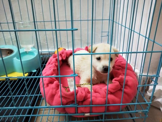 20221105170024_66236