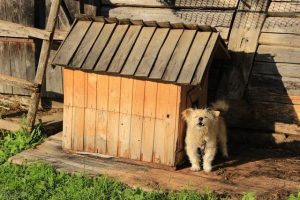 床式狗窝做法(狗窝的做法 *** )-警犬训练器材厂家 _警犬训练用品_工作犬训练用品-南京开久警犬装备