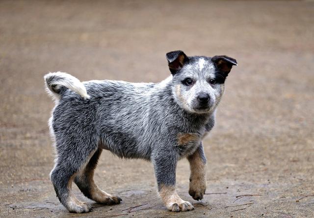 20221105170807_15805