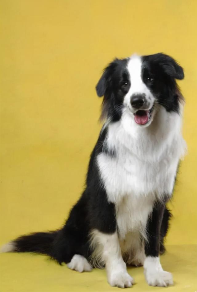 20221105171106_94594