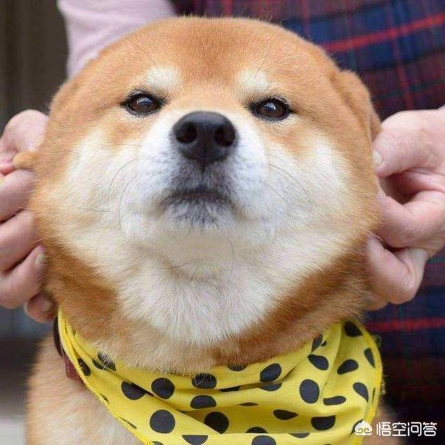 20221105173248_36621