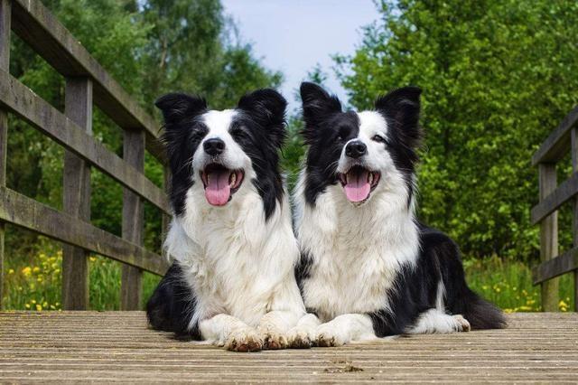 20221105173639_94778 20221105173639_94778