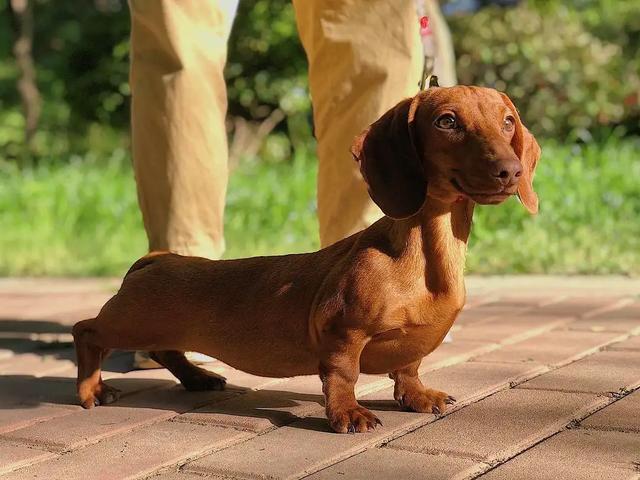 20221105175842_12172