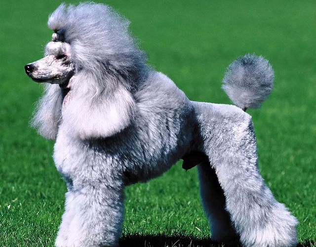 20221105175842_92313