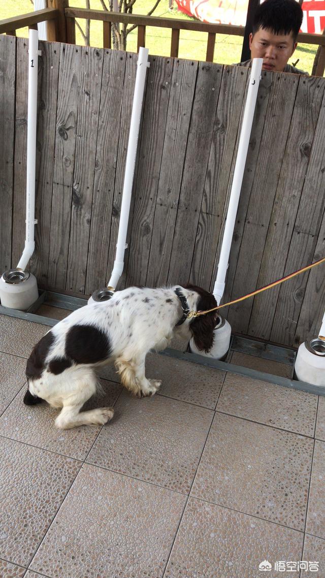 20221105181502_50812