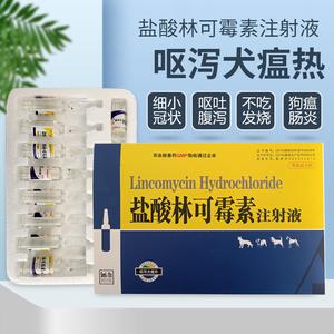 犬瘟热用什么药？狗瘟吃什么药-警犬训练器材厂家 _警犬训练用品_工作犬训练用品-南京开久警犬装备