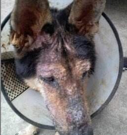 20221105183926_29511