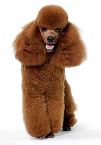 20221105183927_14887