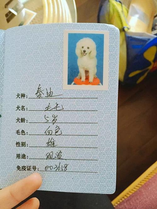狗证怎么办理狗证有什么作用 - 警犬训练器材厂家 _警犬训练用品_工作犬训练用品-南京开久警犬装备-警犬训练器材厂家 _警犬训练用品_工作犬训练用品-南京开久警犬装备