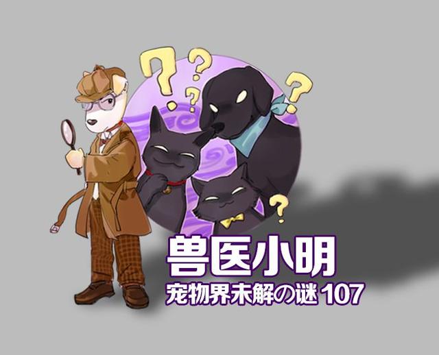 20221105185159_21734