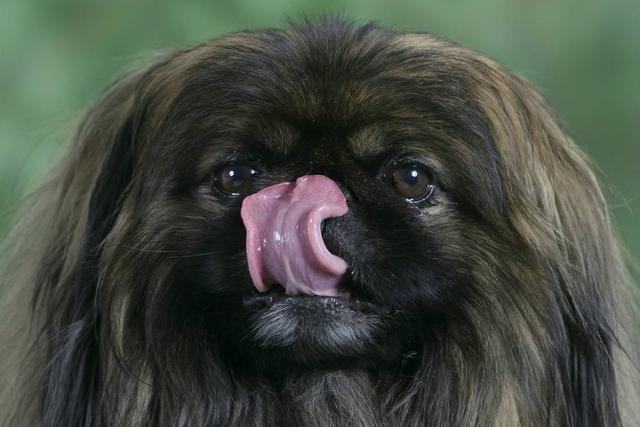 20221105190130_88315