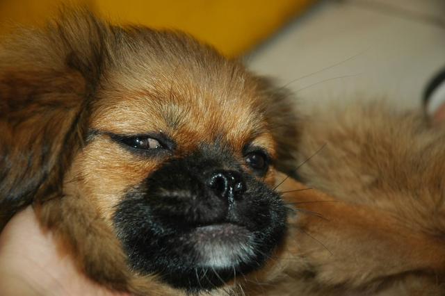 20221105190131_26007