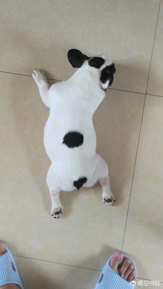 20221105195727_50409