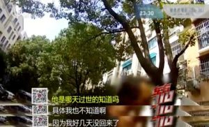 上海遛狗致死案怎么判(上海遛狗致死案二审)-警犬训练器材厂家 _警犬训练用品_工作犬训练用品-南京开久警犬装备