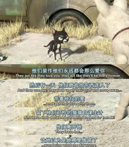 一只狗有超能力的 *** (一只狗获得了超能力)-警犬训练器材厂家 _警犬训练用品_工作犬训练用品-南京开久警犬装备