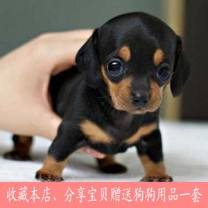 20221106084047_54534 20221106084047_54534