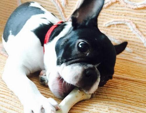 20221106084134_67472