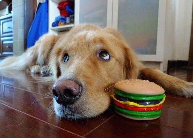 20221106084135_29832