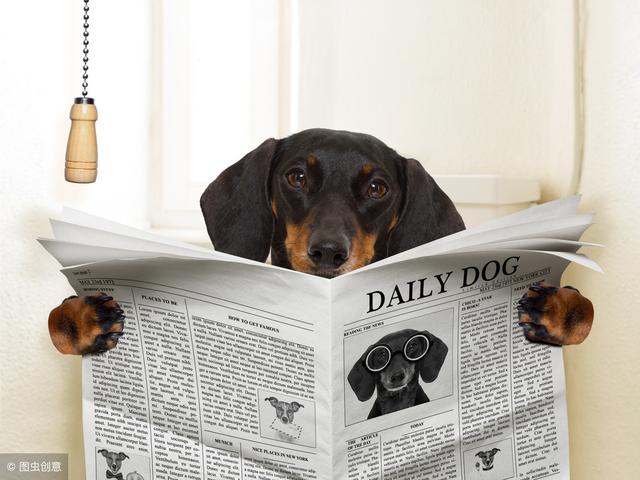 20221106084306_70901