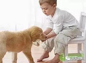 20221106084307_87773