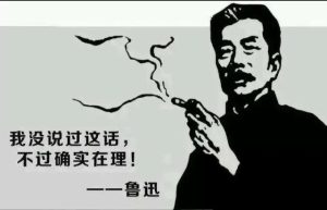 狐狸狗叫什么(白色狐狸狗叫什么)-警犬训练器材厂家 _警犬训练用品_工作犬训练用品-南京开久警犬装备