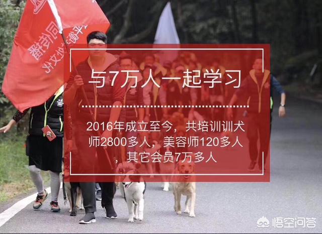 20221106084725_41241