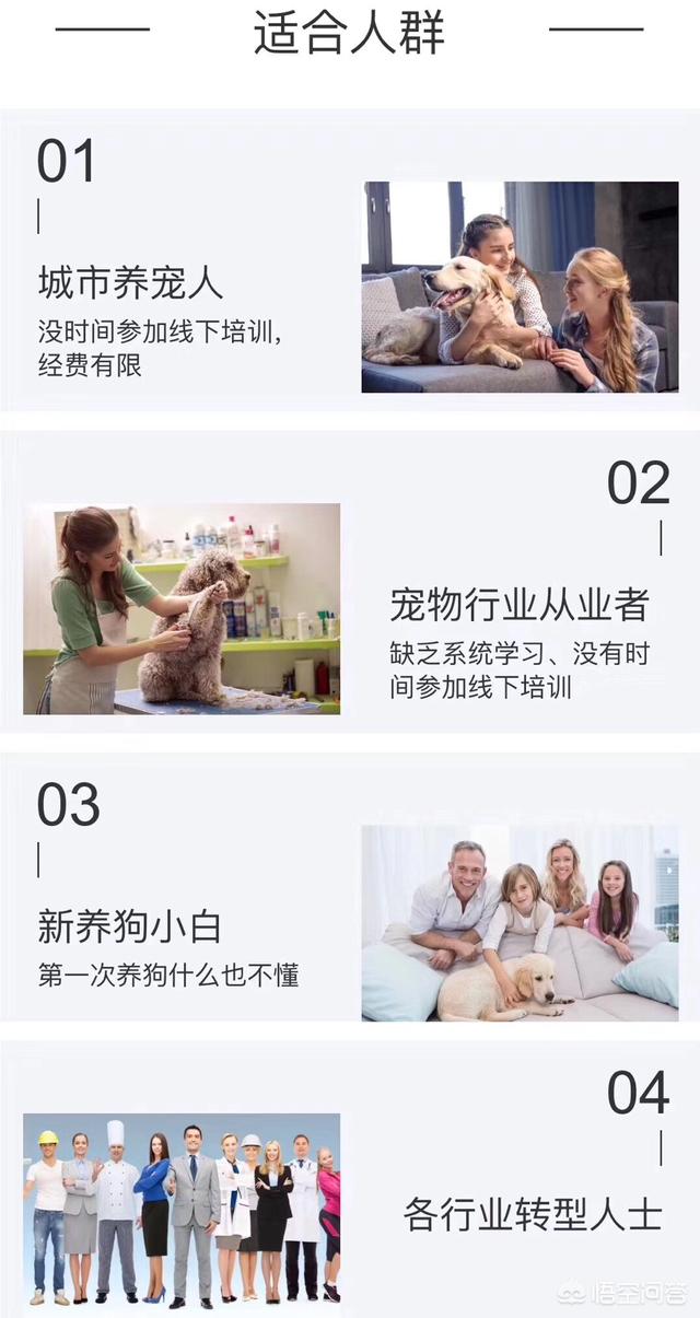 狗狗训练学校_训犬学校学费多少钱 - 警犬训练器材厂家 _警犬训练用品_工作犬训练用品-南京开久警犬装备-警犬训练器材厂家 _警犬训练用品_工作犬训练用品-南京开久警犬装备