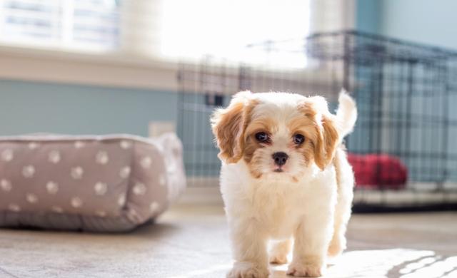 20221106085627_89655