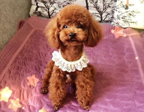 20221106093114_50030