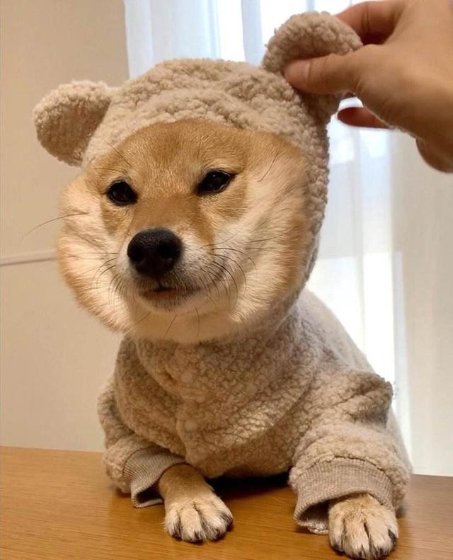 20221106093115_52611