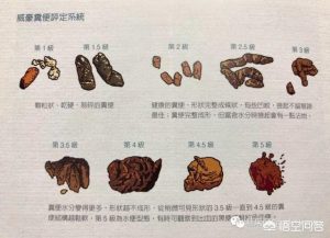 狗狗一般晚上要睡几个小时萌宠-警犬训练器材厂家 _警犬训练用品_工作犬训练用品-南京开久警犬装备