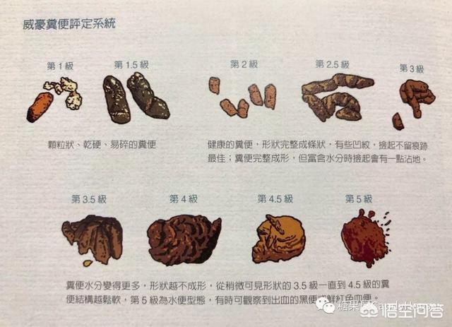 20221106093446_41853 20221106093446_41853