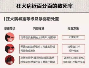 狂犬病的潜伏期是多久,猫得狂犬病的潜伏期是多久-警犬训练器材厂家 _警犬训练用品_工作犬训练用品-南京开久警犬装备